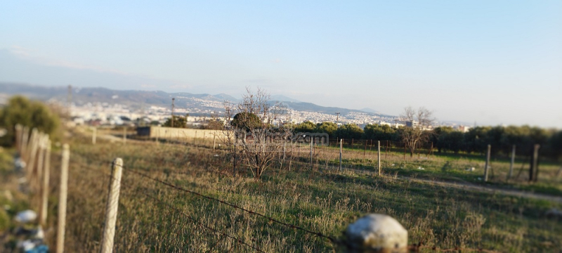 property-img